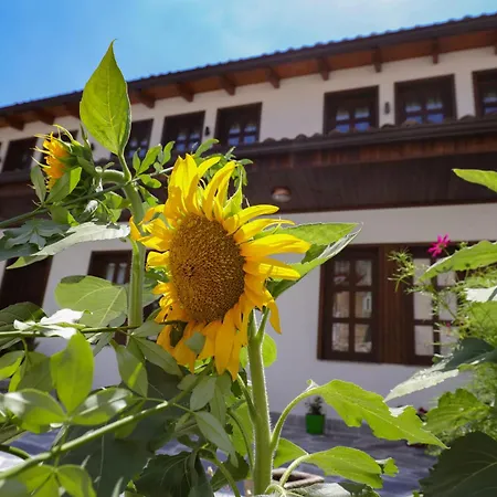 The House Of Dollma , Inside Castle Guest house Kruje